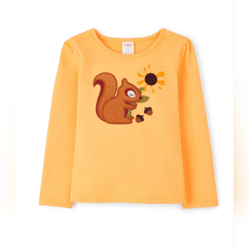 Gymboree "Autumn Harvest" embroidered squirrel & sunflower Fall top